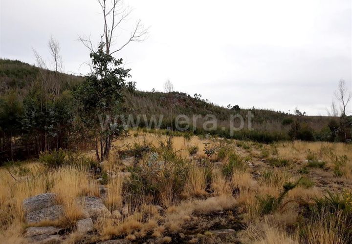 Helårsgrund i Barcelos, Braga, Barcelos - € 9.000 | Ref: 254180350 - foto 1