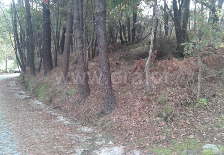 Helårsgrund i Barcelos, Braga, Barcelos - € 61.500 | Ref: 254140402 - foto 1