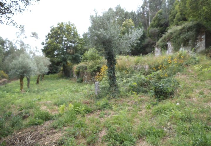 Byhus i Barcelos, Braga, Barcelos - € 99.000 | Ref: 254160216 - foto 1
