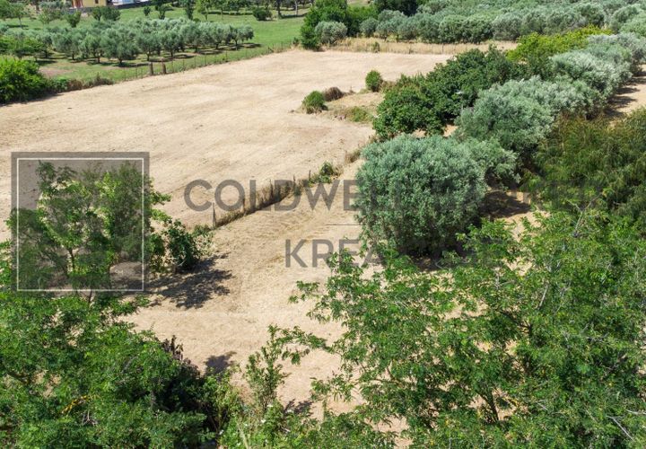 Terra a Rome, Rome, Rome - € 80.000 | Ref: CBI143-2042-8191 - foto 1
