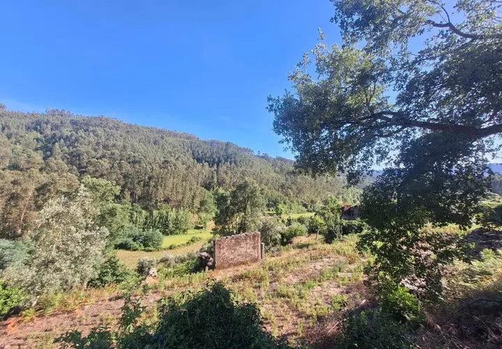 Helårsgrund i Arouca, Aveiro, Arouca - € 85.000 | Ref: C0385-00768 - foto 1