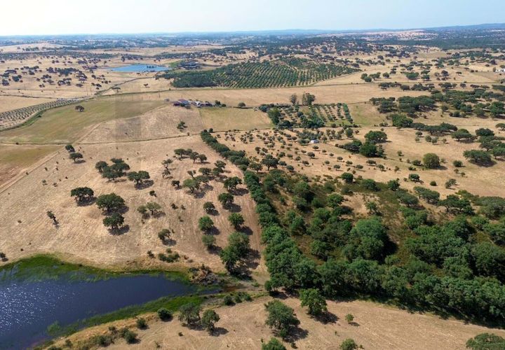 Helårsgrund i Almodovar, Beja, Almodovar - € 110.000 | Ref: KWPT-017453 - foto 1