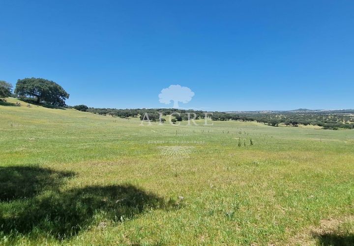 Farm i Elvas, Portalegre, Elvas - € 1.250.000 | Ref: 3122025EM - foto 1