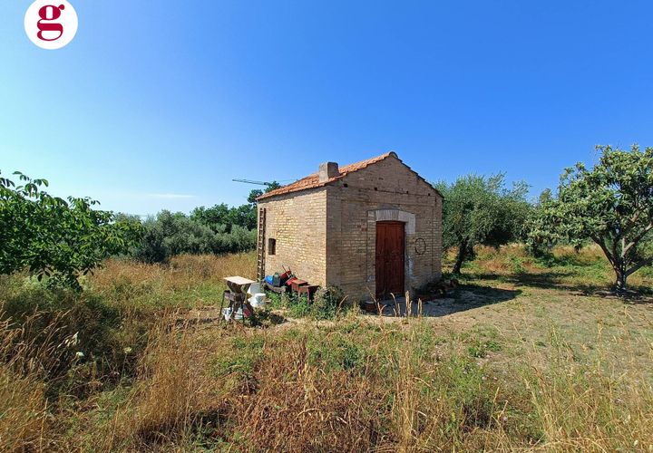 Terra a Vasto, Chieti, Vasto - € 95.000 | Ref: IM202535 - foto 1
