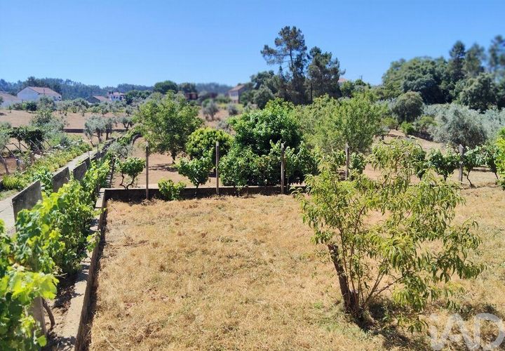 Helårsgrund i Serta, Castelo Branco, Serta - € 35.000 | Ref: 653004 - foto 1