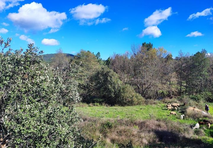 Helårsgrund i Castelo Branco, Castelo Branco, Castelo Branco - € 25.000 | Ref: SÒL_234 - foto 1