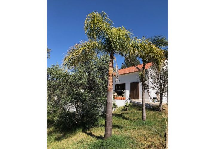 Farm i Setubal, Setubal, Setubal - € 399.000 | Ref: MAS_182 - foto 1