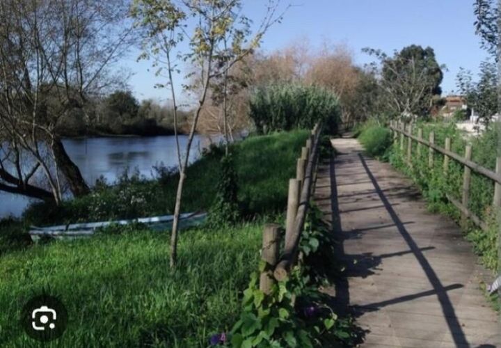 Helårsgrund i Eixo e Eirol, Aveiro, Eixo e Eirol - € 40.000 | Ref: KWPT-014837 - foto 1
