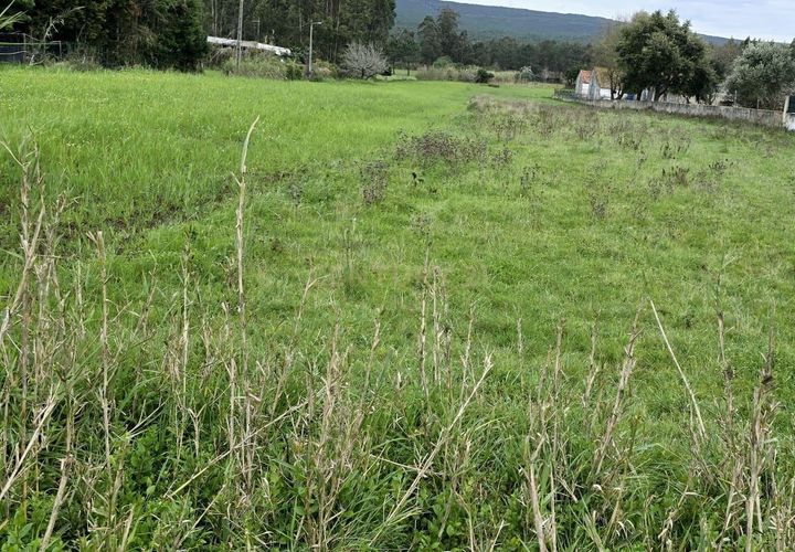 Helårsgrund i Nazare, Leiria, Nazare - € 37.500 | Ref: 1739-02084 - foto 1