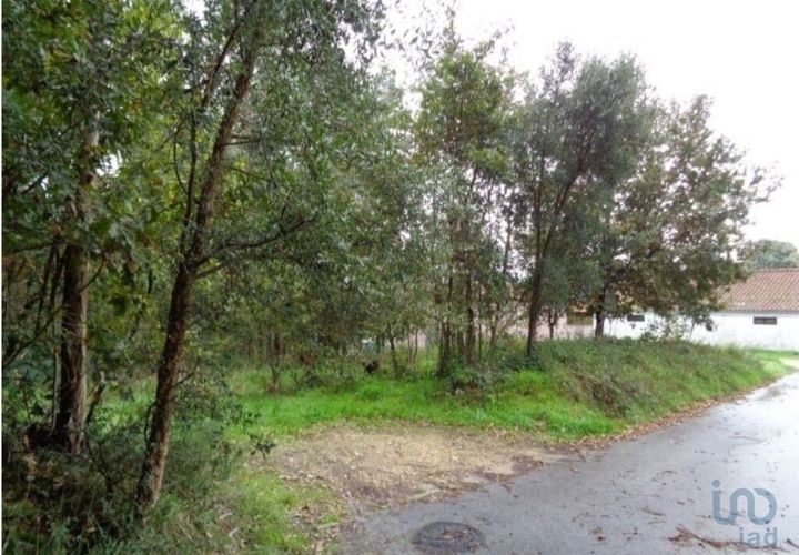 Terra a Ovar, Aveiro, Ovar - € 90.000 | Ref: 113708 - foto 1