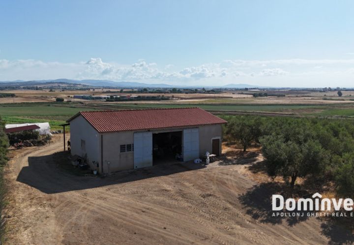 Landejendom i Capalbio, Grosseto, Capalbio - € 600.000 | Ref: v-192 - foto 1