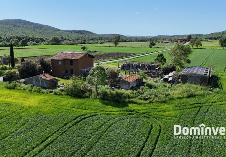 Landejendom i Capalbio, Grosseto, Capalbio - € 340.000 | Ref: v-193 - foto 1