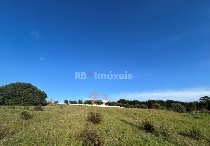 Helårsgrund i Tomar, Santarem, Tomar - € 37.500 | Ref: 01445-25 - foto 1