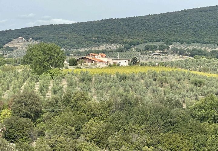 Farm i Montecchio, Terni, Montecchio - € 900.000 | Ref: AZ216 - foto 1