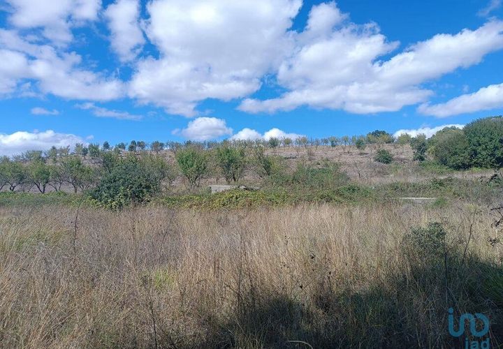 Terra a Mogadouro, Braganca, Mogadouro - € 6.000 | Ref: 144935 - foto 1