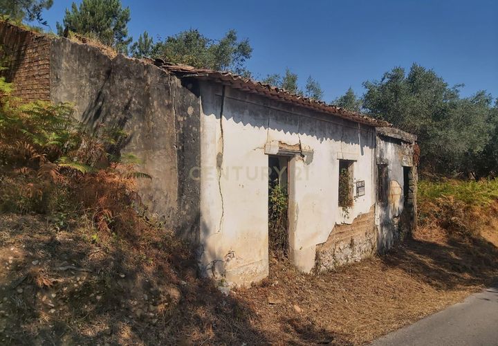 Terra a Freixianda, Santarem, Freixianda - € 23.000 | Ref: C0381-00347 - foto 1
