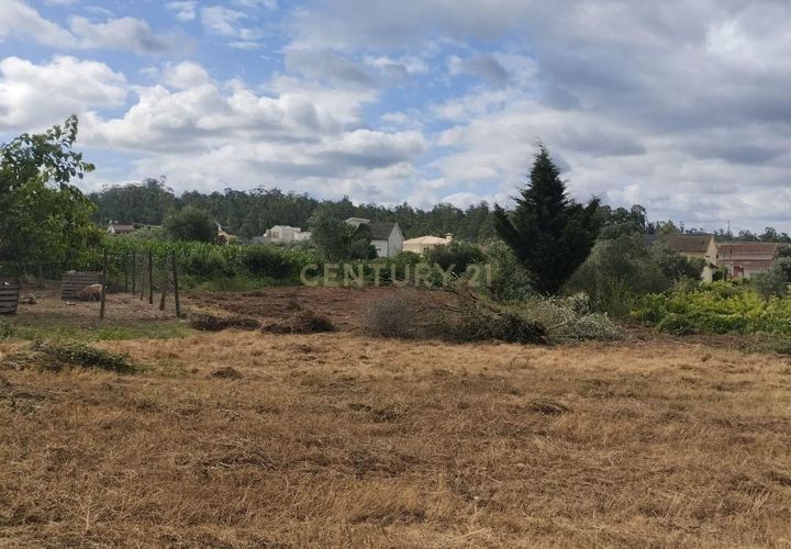 Terra a Soure, Coimbra, Soure - € 12.000 | Ref: C0381-00602 - foto 1