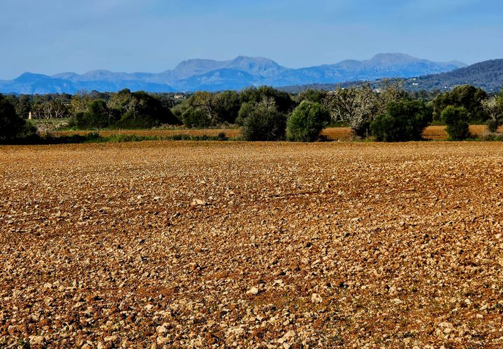 Helårsgrund i Manacor, Mallorca, Manacor - € 370.000 | Ref: 82005 - foto 1