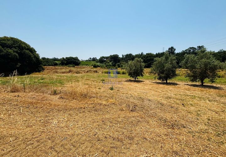 Helårsgrund i Azambuja, Lisbon, Azambuja - € 95.000 | Ref: CAL-216861 - foto 1