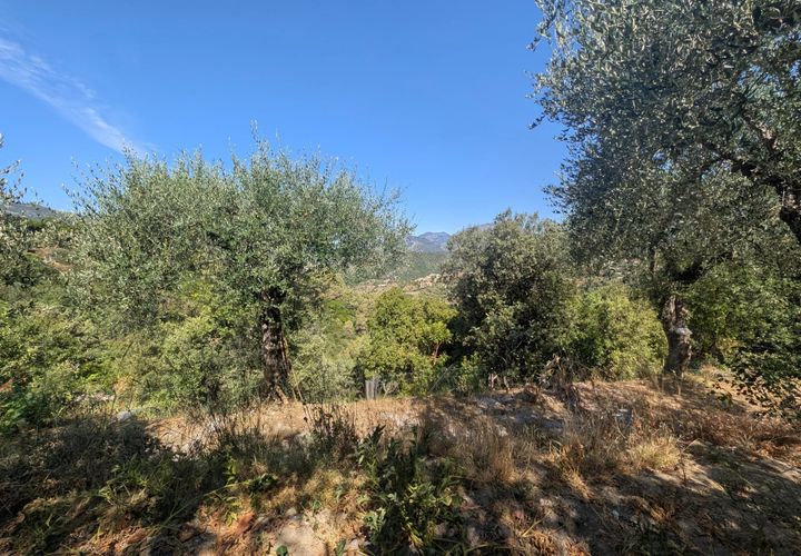 Terra a Saint-Blaise, Alpes-Maritimes, Saint-Blaise - € 215.000 | Ref: 1141 - foto 1