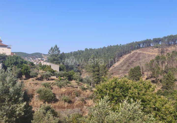 Helårsgrund i Fundao, Castelo Branco, Fundao - € 22.500 | Ref: 255250127 - foto 1