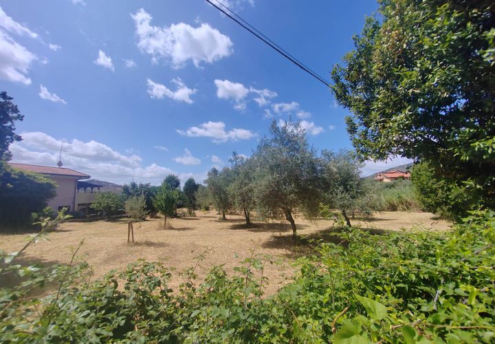 Terra a Maenza, Latina, Maenza - € 39.000 | Ref: 2087 - foto 1