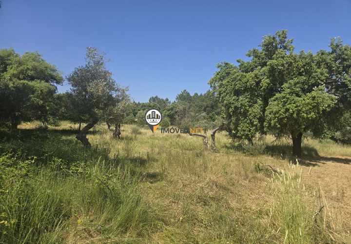 Helårsgrund i Castelo Branco, Castelo Branco, Castelo Branco - € 25.000 | Ref: 2829 - foto 1