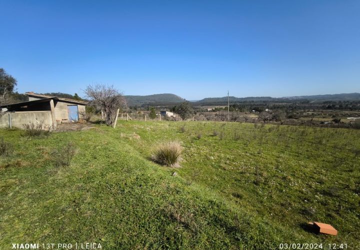 Farm i Castelo Branco, Castelo Branco, Castelo Branco - € 35.000 | Ref: MAS_237 - foto 1