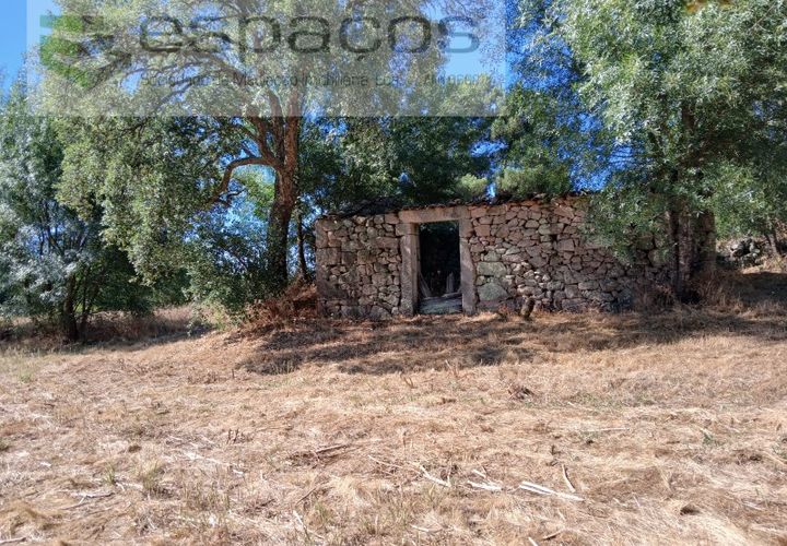 Farm i Castelo Branco, Castelo Branco, Castelo Branco - € 18.695 | Ref: 5828/RR-AC - foto 1