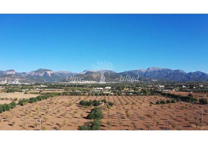 Tomt i Inca, Mallorca, Inca - € 1 700 000 | Ref: INC575 - foto 1