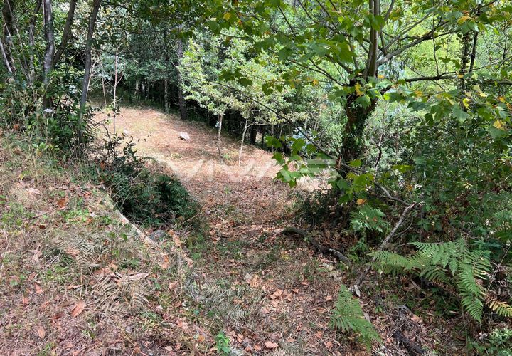 Terra a Amares, Braga, Amares - € 5.000 | Ref: 01-3654 - foto 1