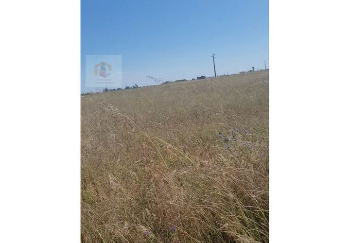 Helårsgrund i Alpiarca, Santarem, Alpiarca - € 32.000 | Ref: VIP_042 - foto 1