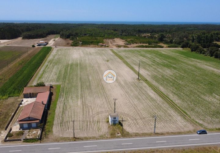 Helårsgrund i Ovar, Aveiro, Ovar - € 810.250 | Ref: 5TC3830 - foto 1