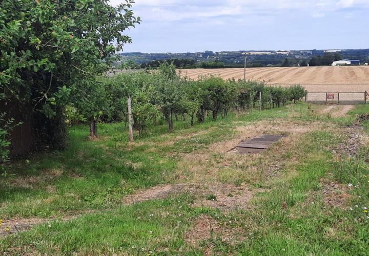 Terra a Naveil, Loir-et-Cher, Naveil - € 34.000 | Ref: 189954 - foto 1