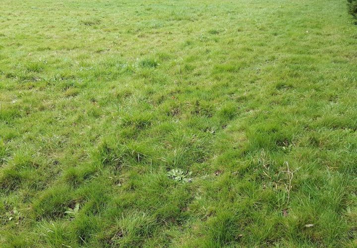 Helårsgrund i Sainte-Helene, Morbihan, Sainte-Helene - € 131.000 | Ref: 189818 - foto 1