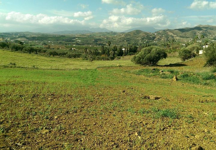 Helårsgrund i Alora, Malaga, Alora - € 115.000 | Ref: DIPM16/10735 - foto 1