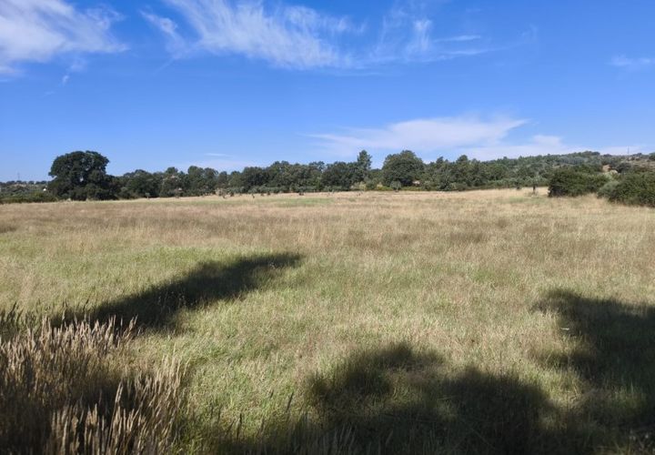 Helårsgrund i Castelo Branco, Castelo Branco, Castelo Branco - € 105.000 | Ref: SÒL_441 - foto 1