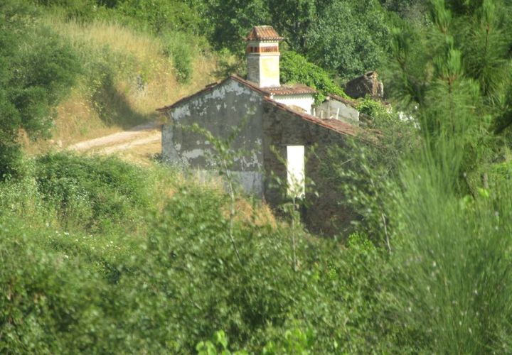 Landejendom i Carvalhal, Santarem, Carvalhal - € 59.000 | Ref: P25-223 - foto 1