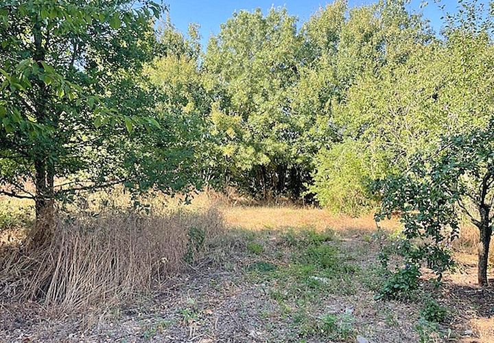 Helårsgrund i Ferrieres, Charente-Maritime, Ferrieres - € 60.990 | Ref: 415846BCR - foto 1