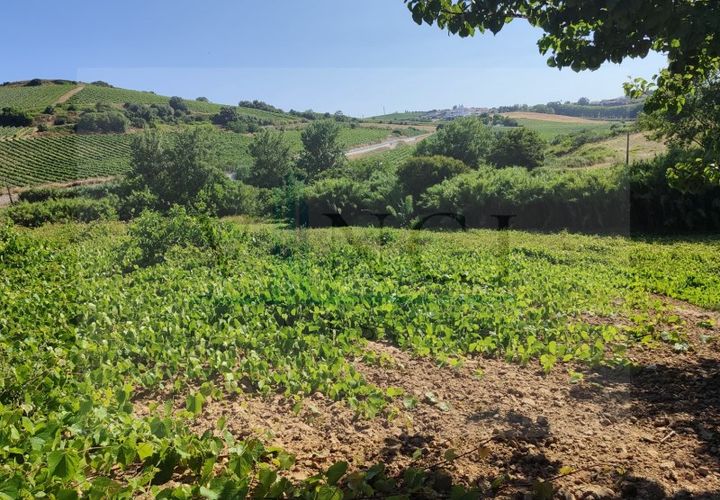 Helårsgrund i Torres Vedras, Lisbon, Torres Vedras - € 22.500 | Ref: SÒL_1370 - foto 1