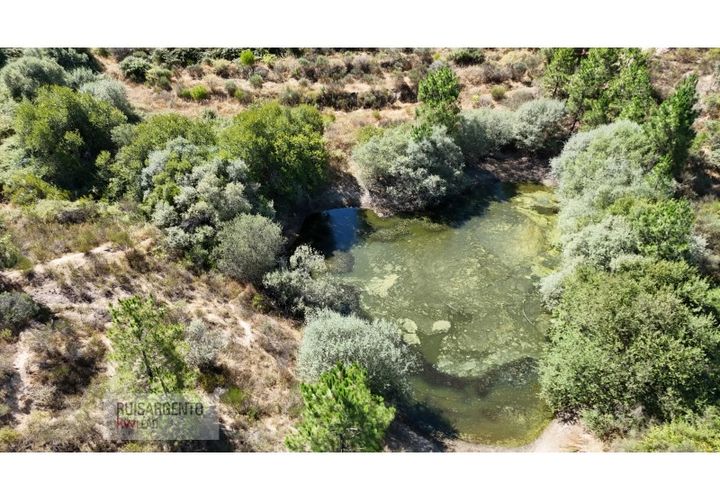 Terra a Ninho do Acor, Castelo Branco, Ninho do Acor - € 45.000 | Ref: TER_201RS210725 - foto 1