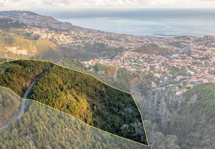 Terra a Sao Roque, Madeira, Sao Roque - € 130.000 | Ref: 123511227-233 - foto 1
