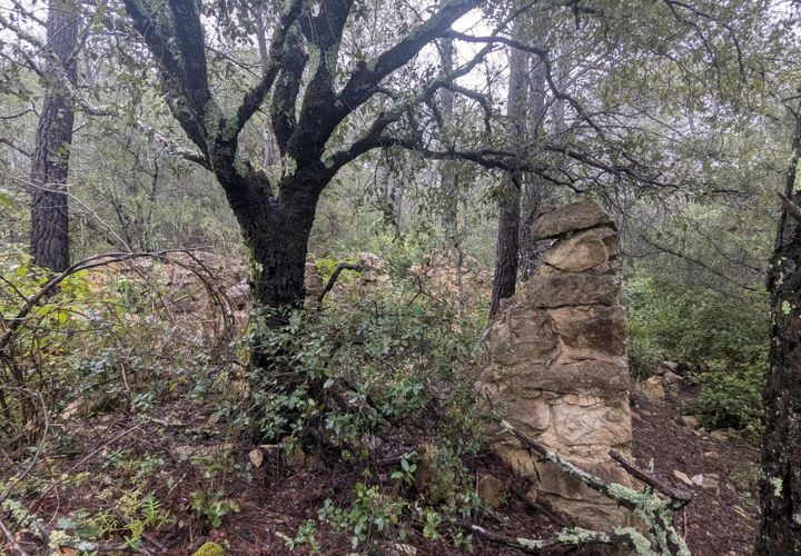 Terreno en Cotignac, Var, Cotignac - € 33.000 | Ref: 3598 - photo 1