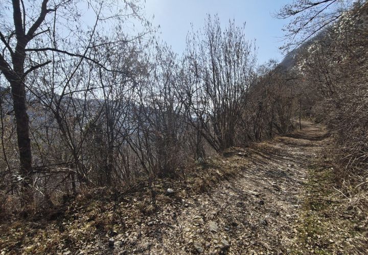 Helårsgrund i Belluno, Belluno, Belluno - € 645.000 | Ref: G115 - foto 1