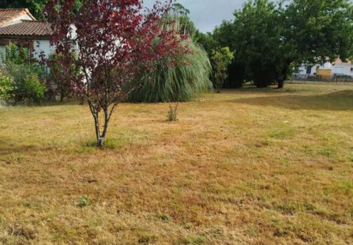 Terra a Corcoue-sur-Logne, Loire-Atlantique, Corcoue-sur-Logne - € 86.000 | Ref: 2013697 - foto 1