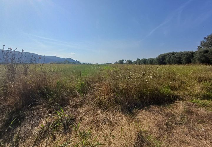 Tomt i Vecchiano, Pisa, Vecchiano - € 24 000 | Ref: 2025174 - foto 1
