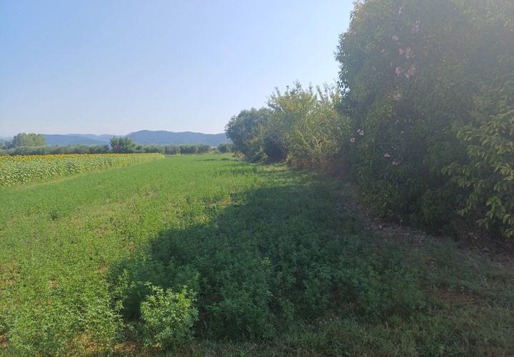 Terra a Vecchiano, Pisa, Vecchiano - € 14.000 | Ref: 2025175 - foto 1
