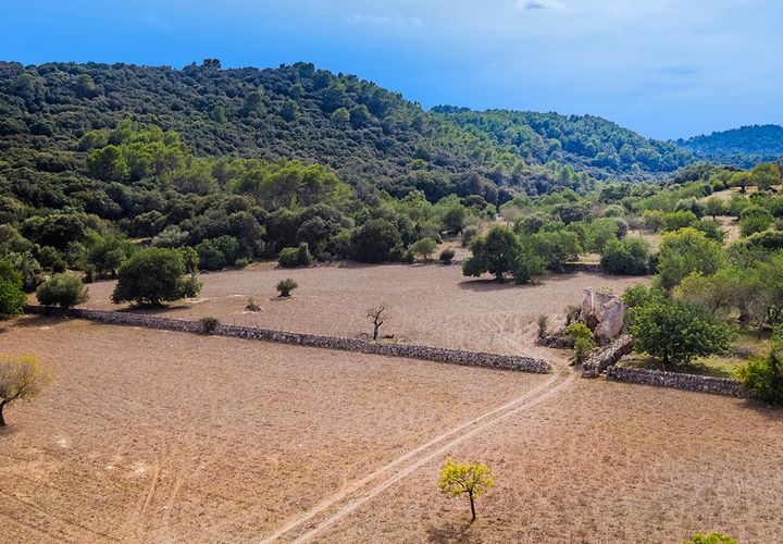 Tomt i Pollenca, Mallorca, Pollenca - € 3 000 000 | Ref: POL0545 - foto 1