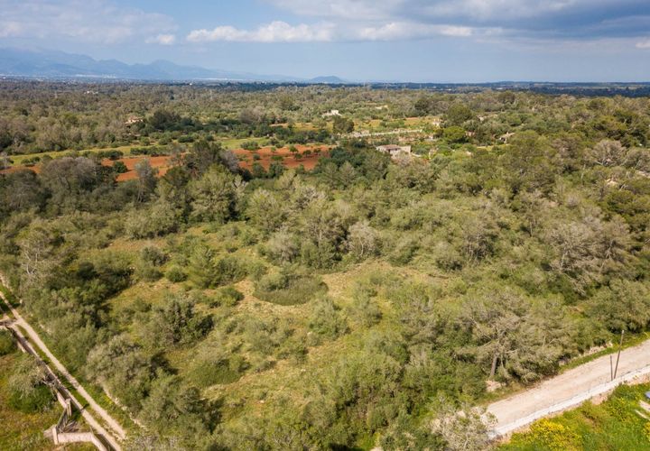Helårsgrund i Algaida, Mallorca, Algaida - € 215.000 | Ref: ALG0661 - foto 1