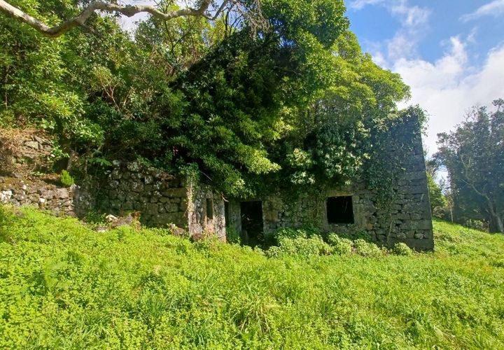 Terra a Velas, Sao Jorge, Velas - € 50.000 | Ref: T1012 - foto 1